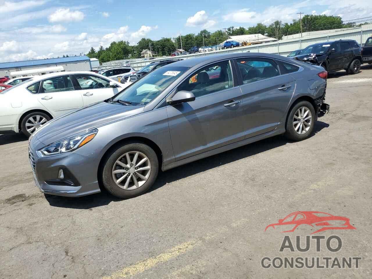 HYUNDAI SONATA 2019 - 5NPE24AF2KH751066