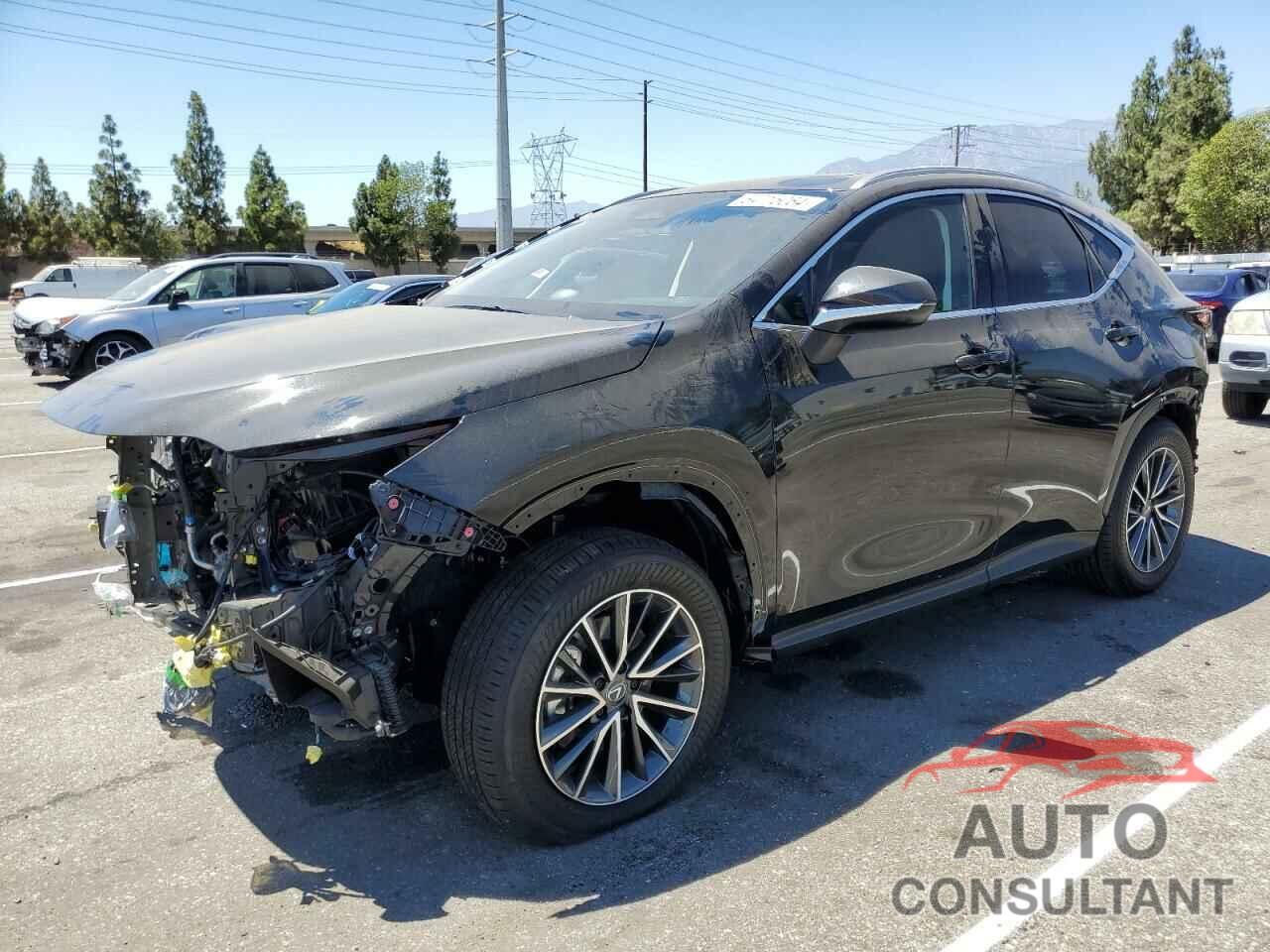 LEXUS NX 350H BA 2024 - JTJGKCEZ7R2030757