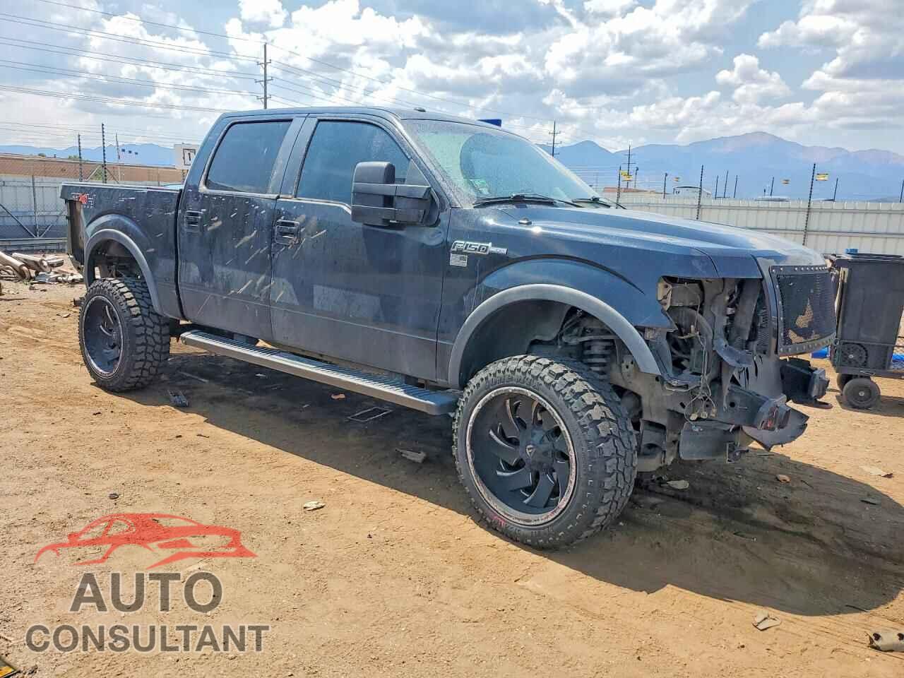 FORD F150 2011 - 1FTFW1EF5BFB73007