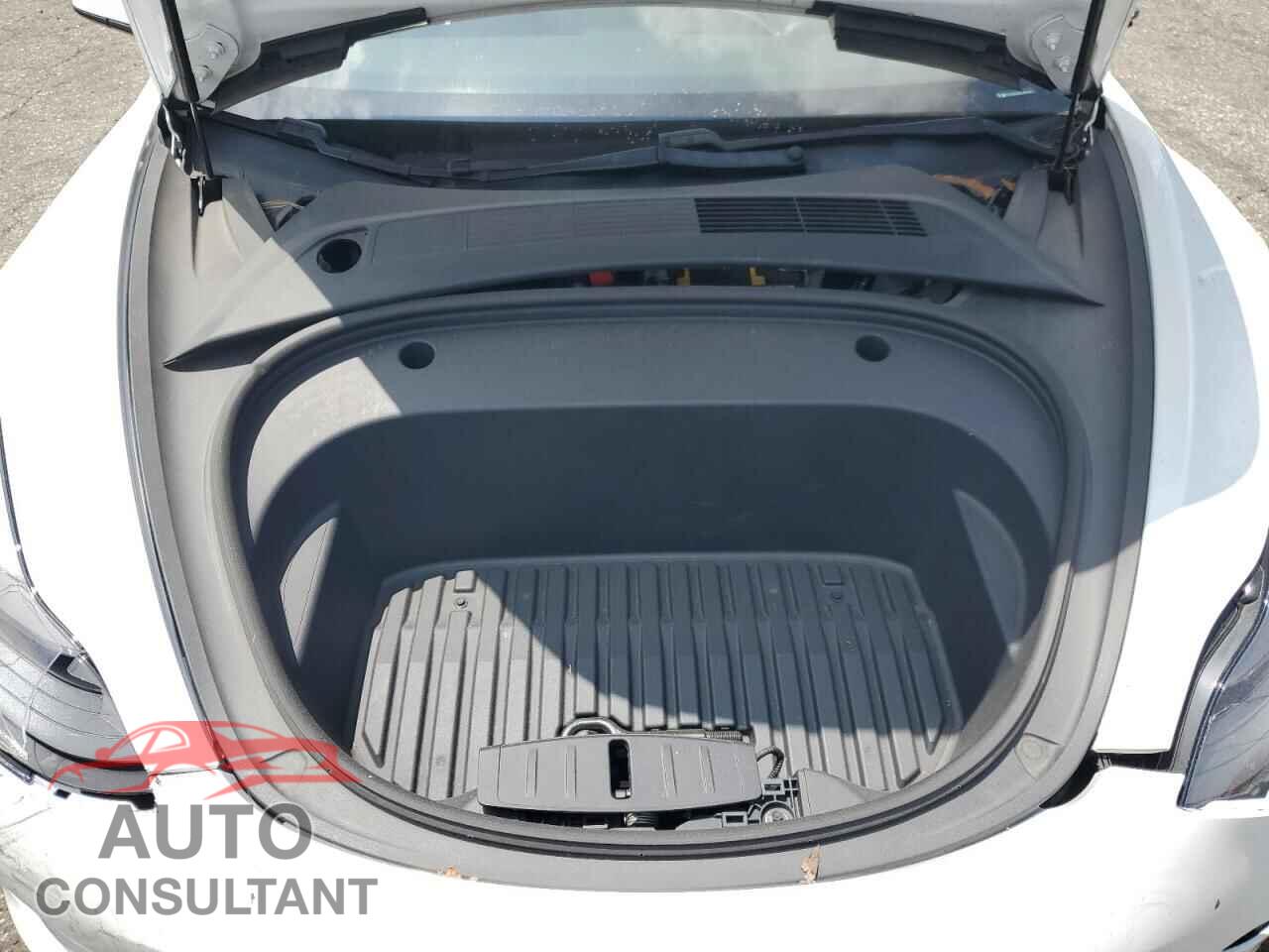 TESLA MODEL 3 2021 - 5YJ3E1EA3MF069441