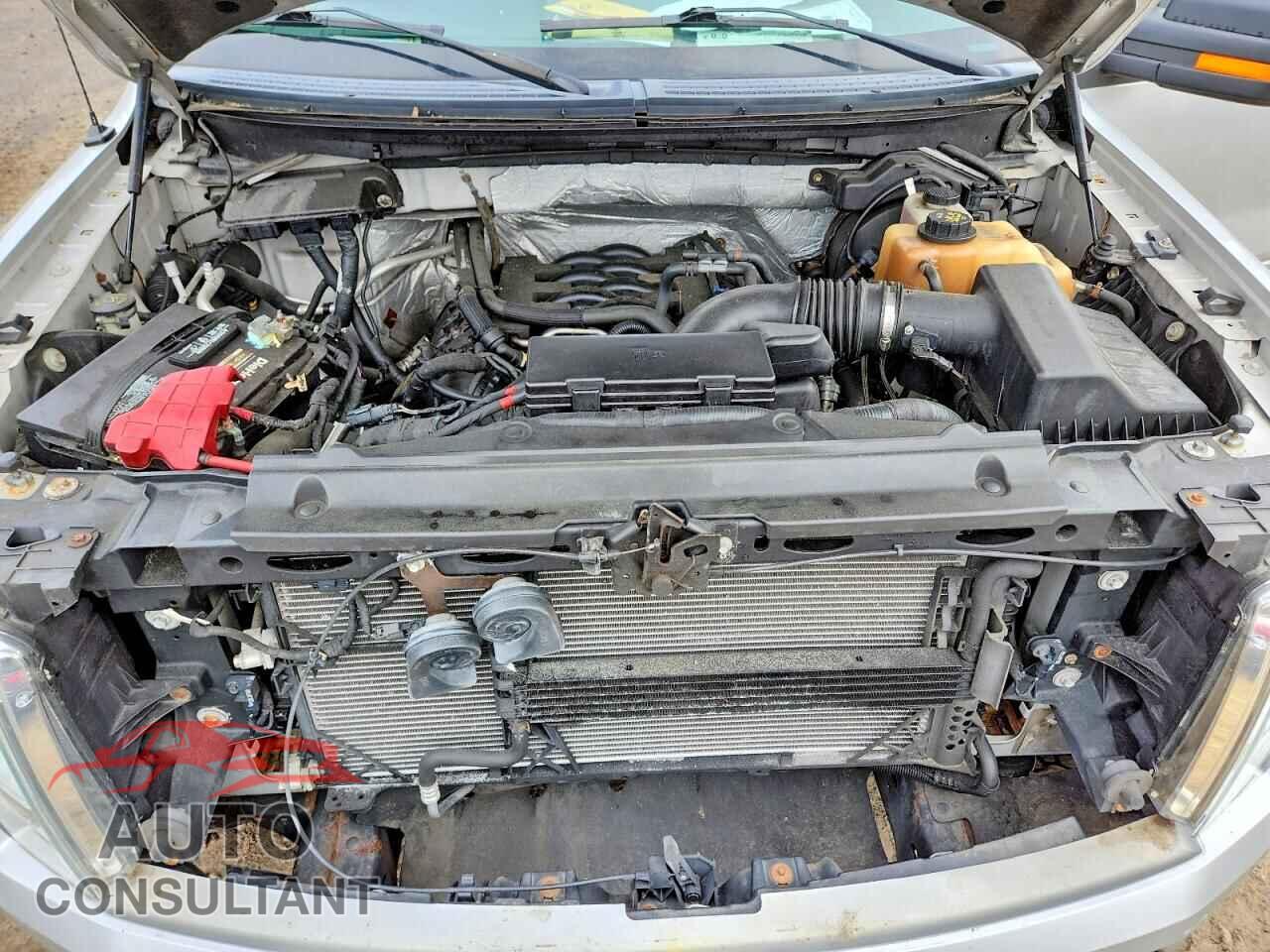 FORD F150 2011 - 1FTFX1EF1BFB36422