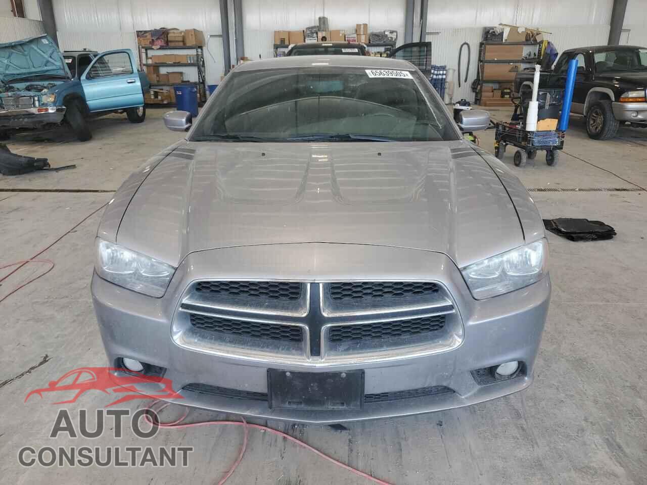 DODGE CHARGER 2014 - 2C3CDXJG2EH301429