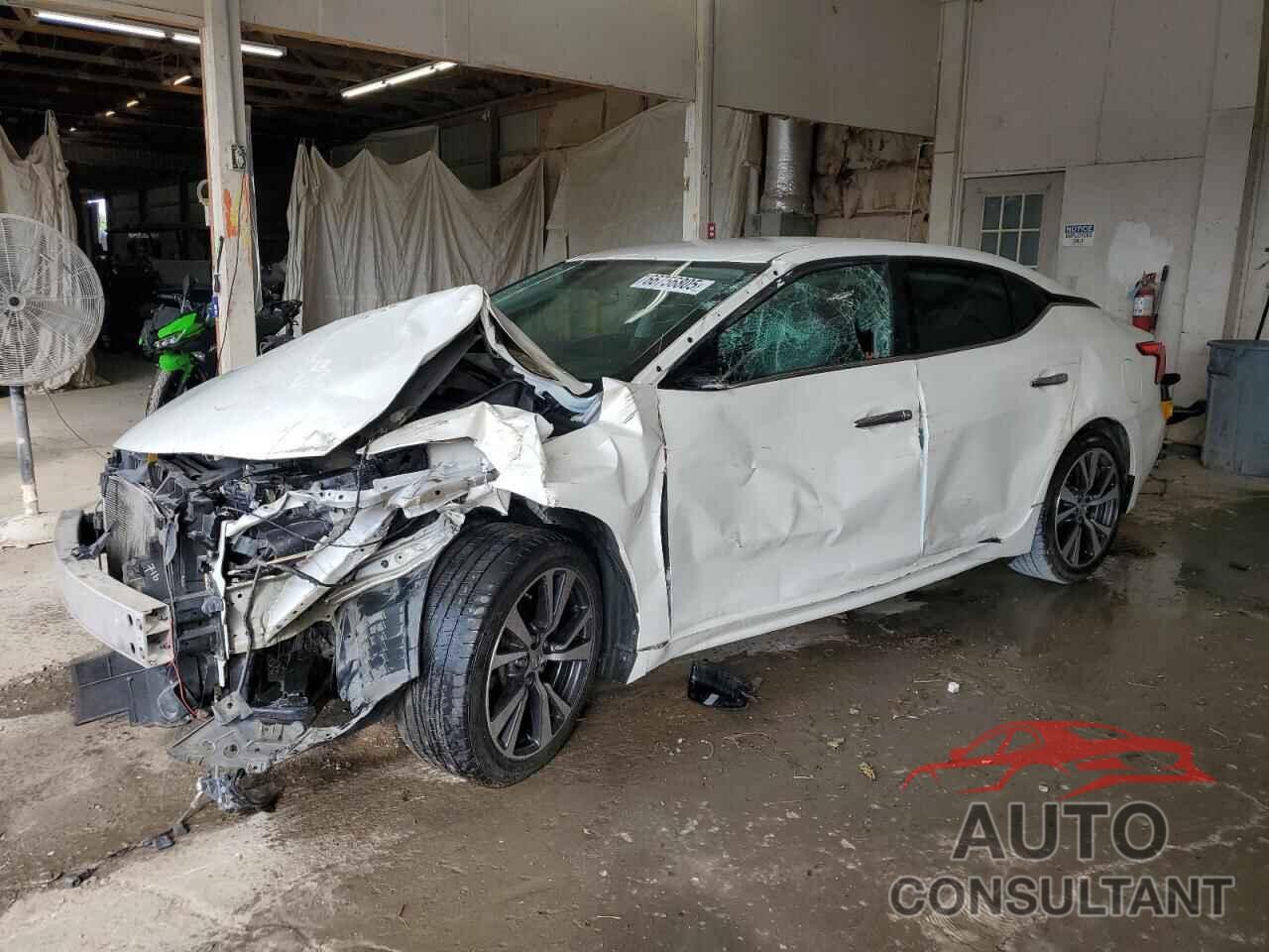 NISSAN MAXIMA 2016 - 1N4AA6AP1GC435589
