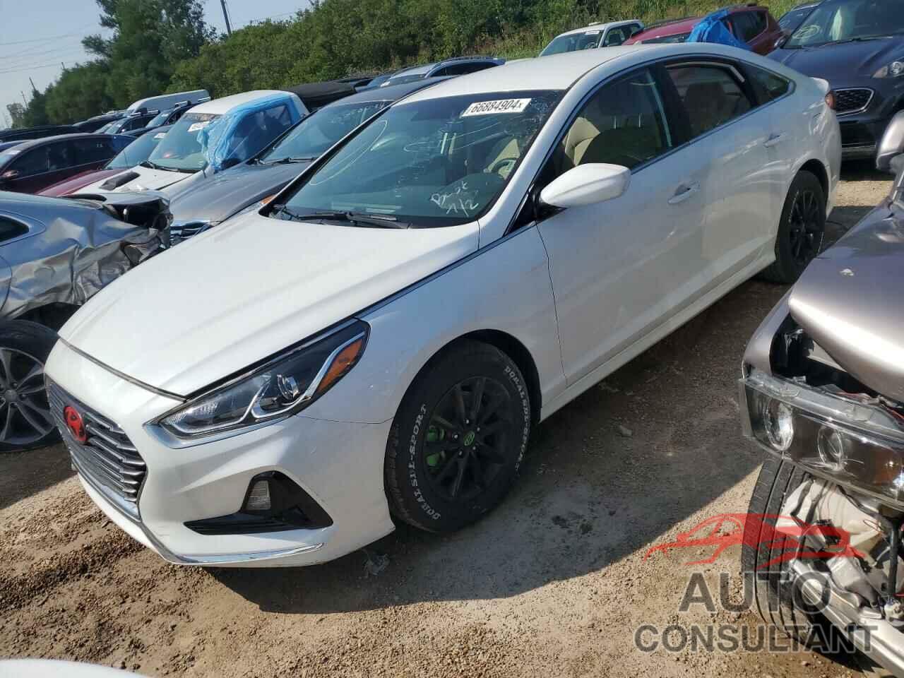 HYUNDAI SONATA 2019 - 5NPE24AF5KH730177