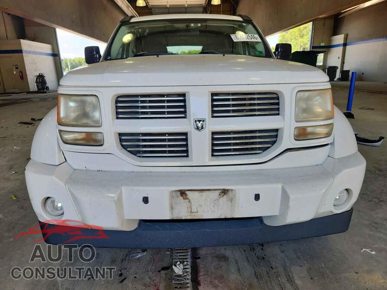 DODGE NITRO 2011 - 1D4PU4GK1BW598250