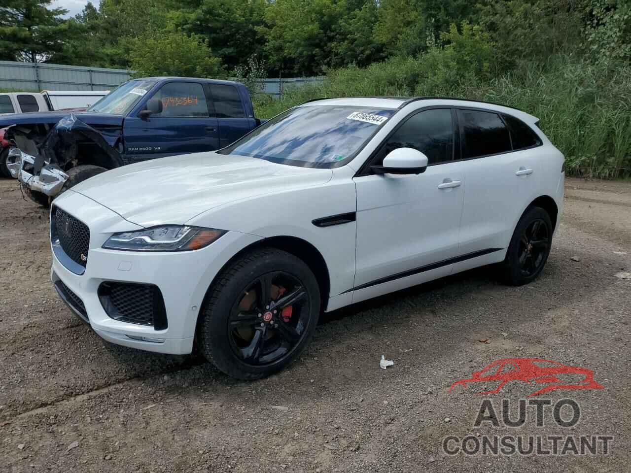 JAGUAR F-PACE 2019 - SADCM2FV6KA602242