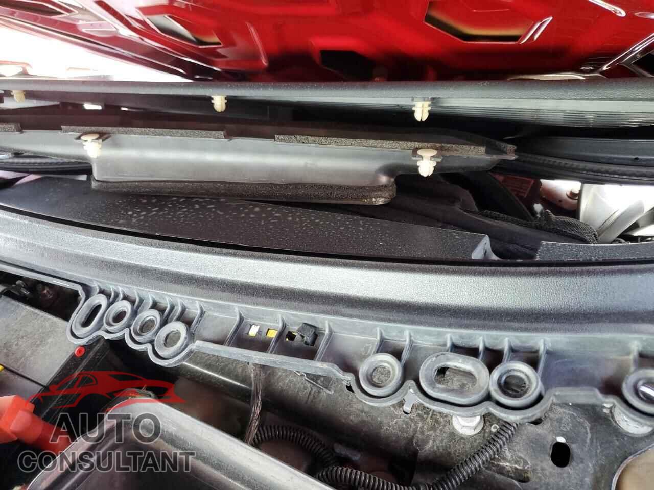 TESLA MODEL 3 2019 - 5YJ3E1EA8KF396575