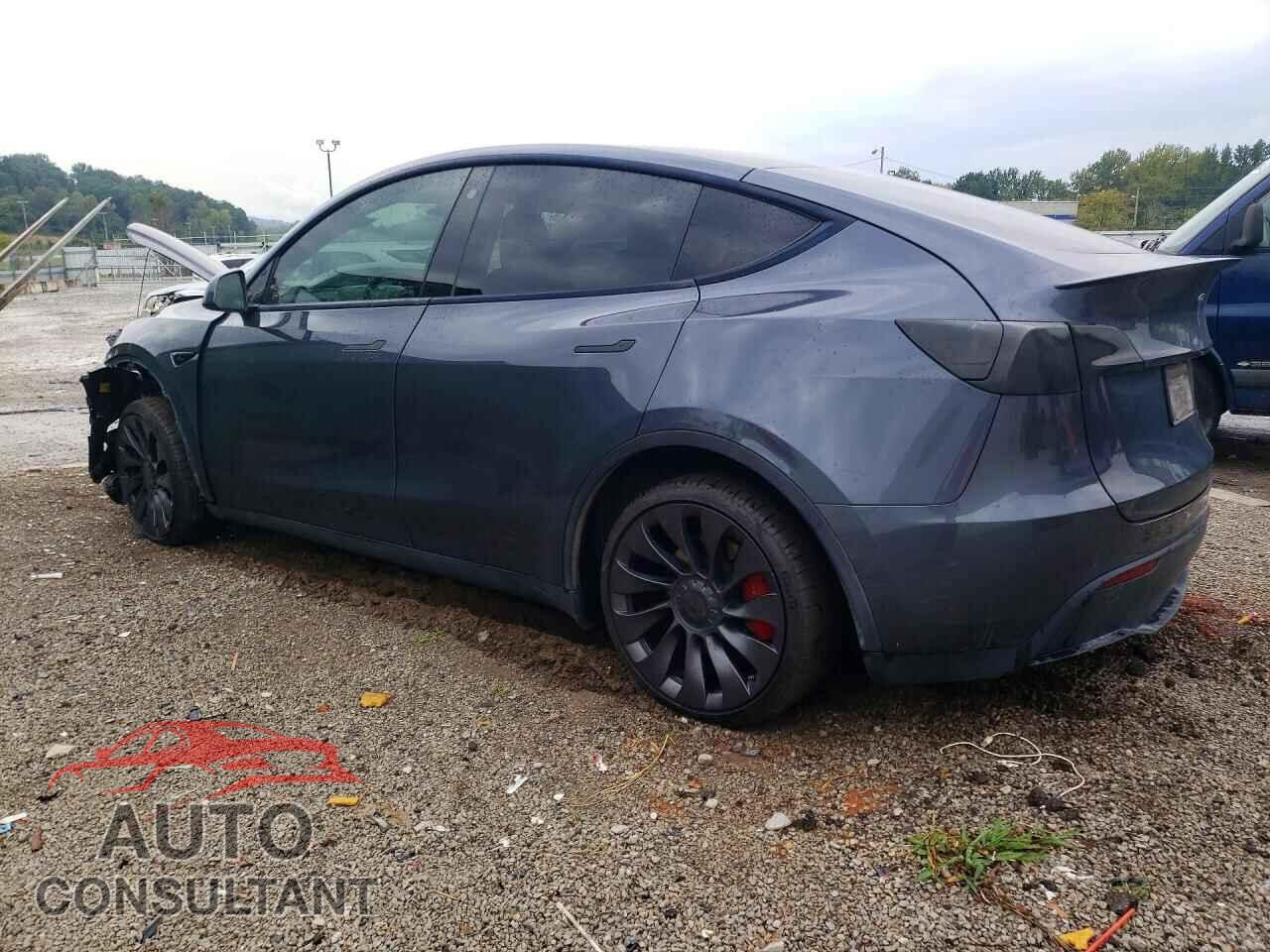TESLA MODEL Y 2022 - 7SAYGDEF2NF462400