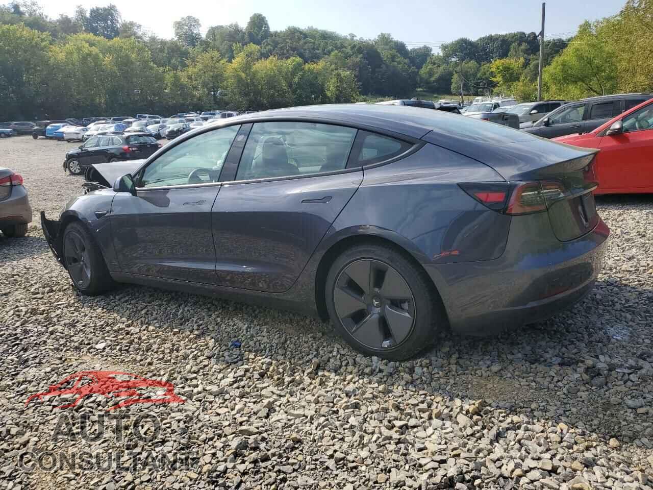TESLA MODEL 3 2021 - 5YJ3E1EA8MF994684