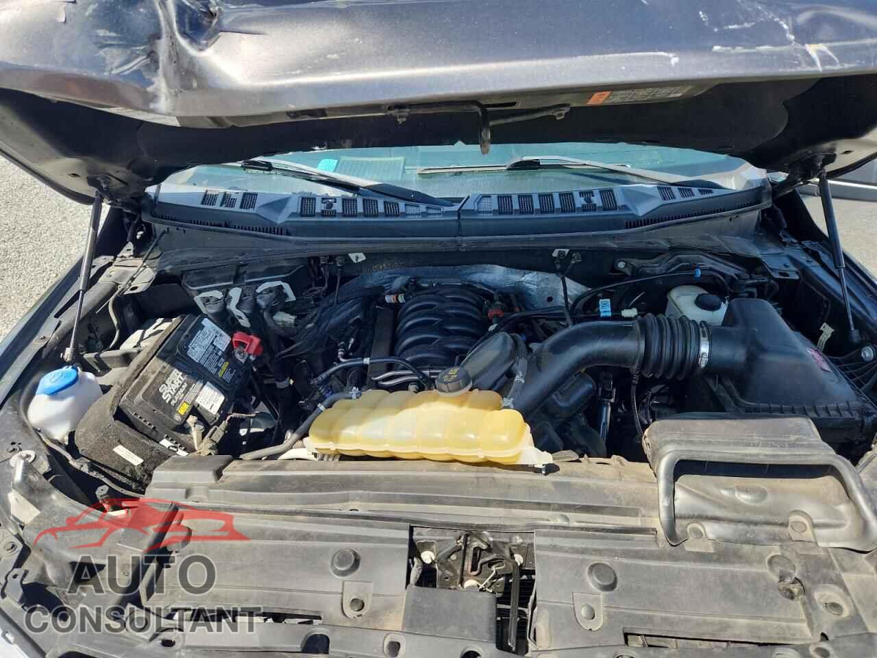 FORD F150 2019 - 1FTEW1E56KFC77105