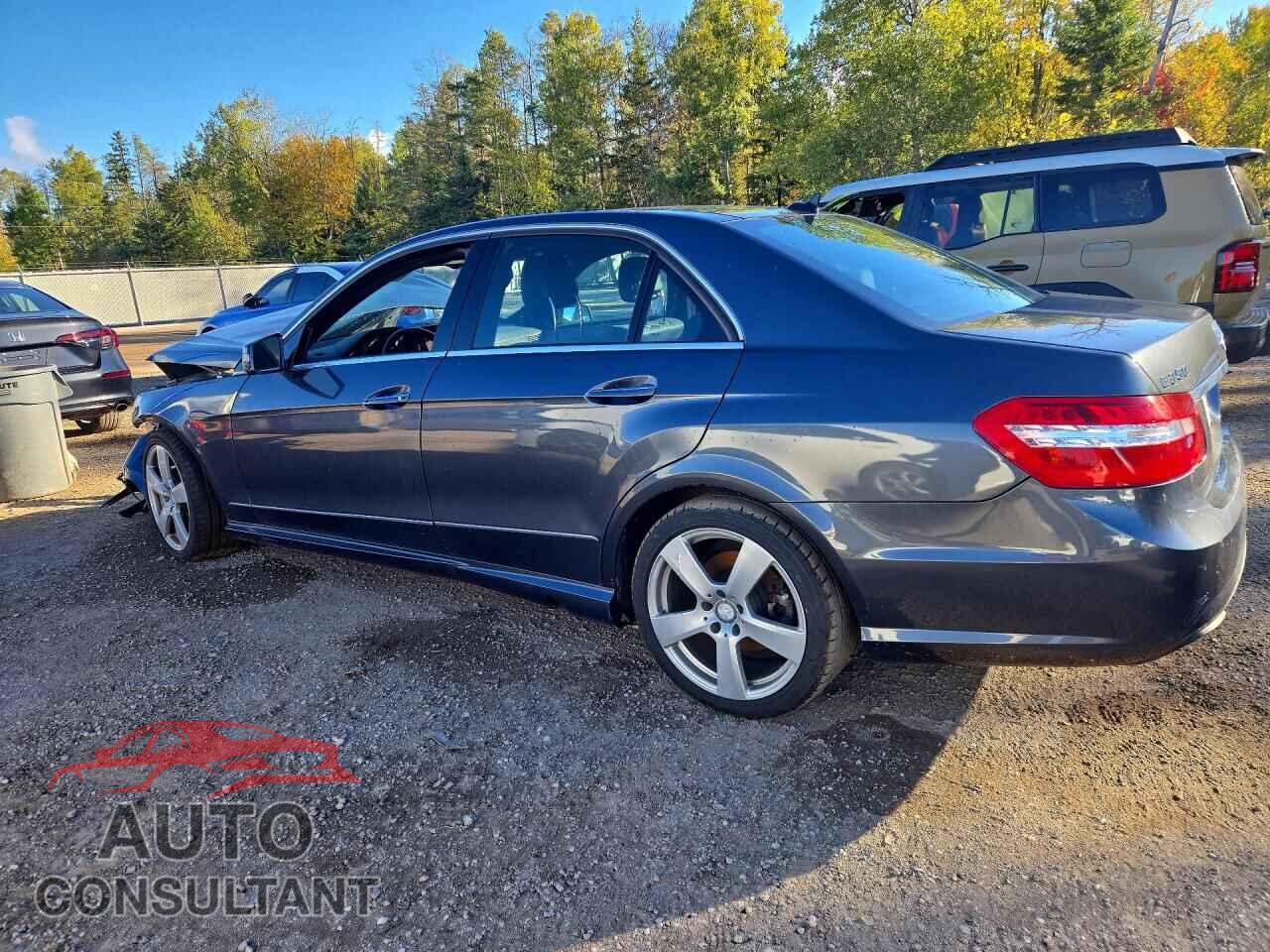 MERCEDES-BENZ E-CLASS 2010 - WDDHF8HB2AA159853