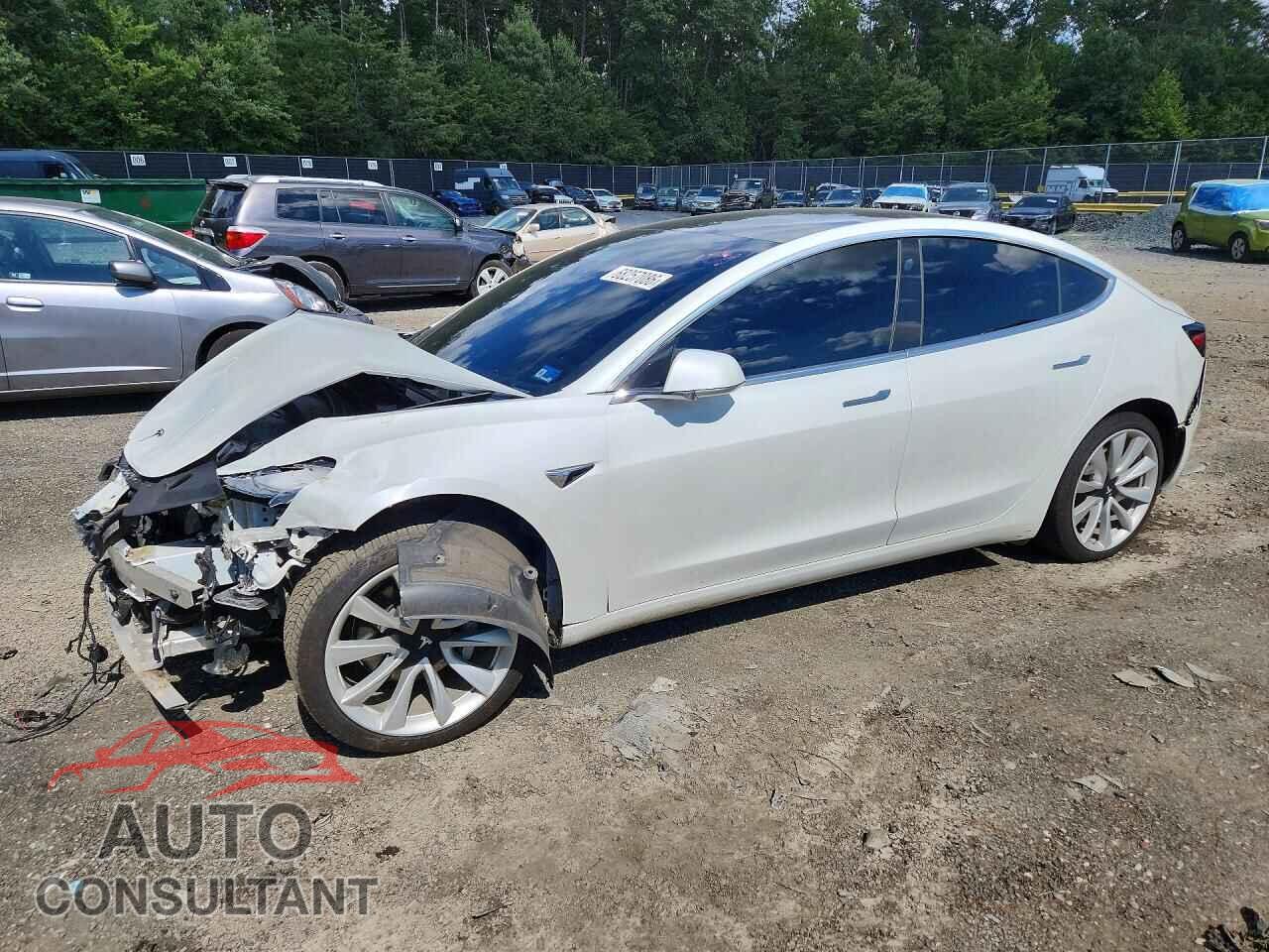 TESLA MODEL 3 2019 - 5YJ3E1EA5KF402557