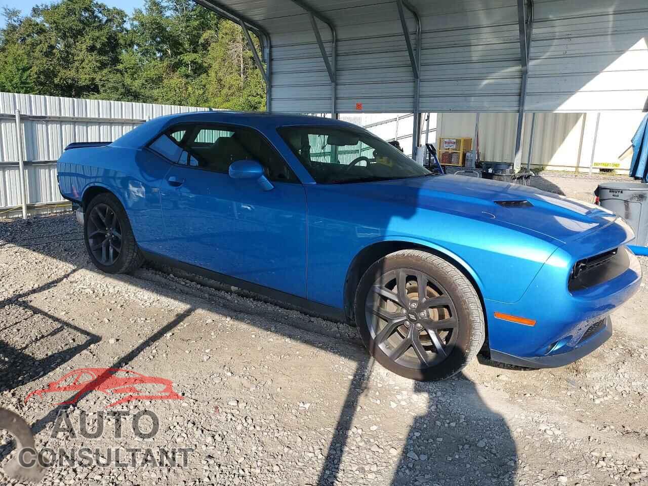 DODGE CHALLENGER 2019 - 2C3CDZAG7KH621255