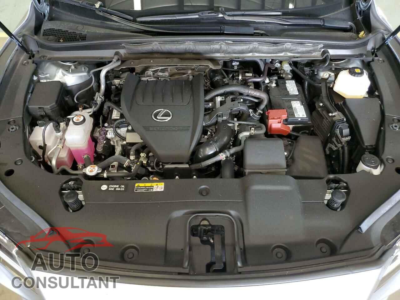 LEXUS RX350 2023 - 2T2BAMCA5PC016210