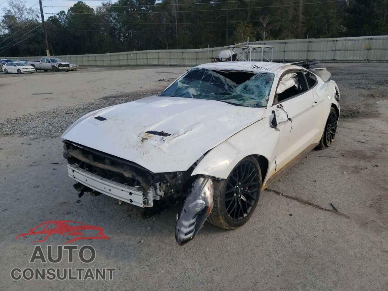 FORD MUSTANG 2019 - 1FA6P8CF1K5199205