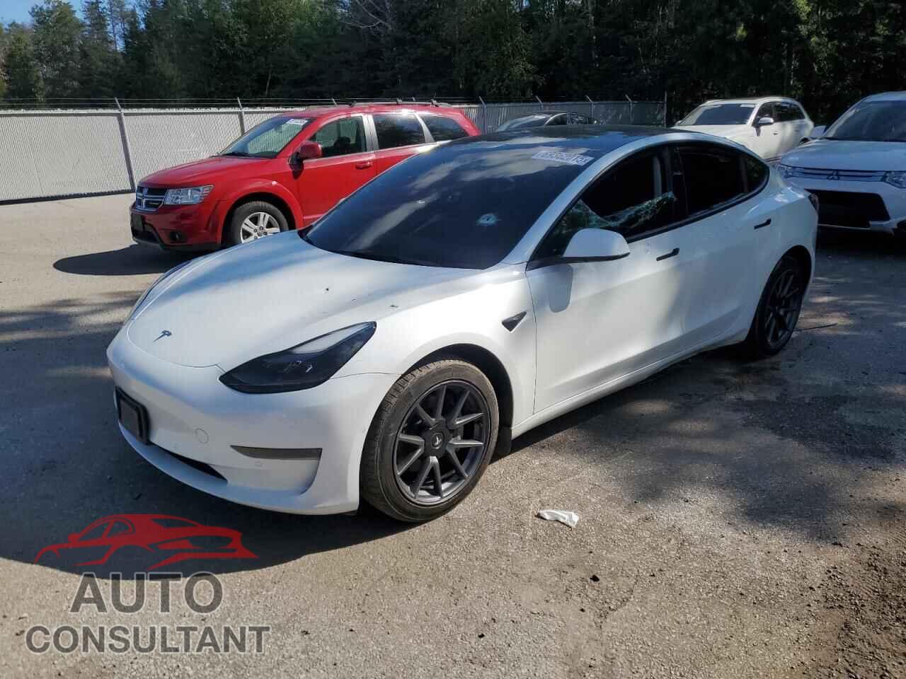 TESLA MODEL 3 2022 - 5YJ3E1EA1NF332804