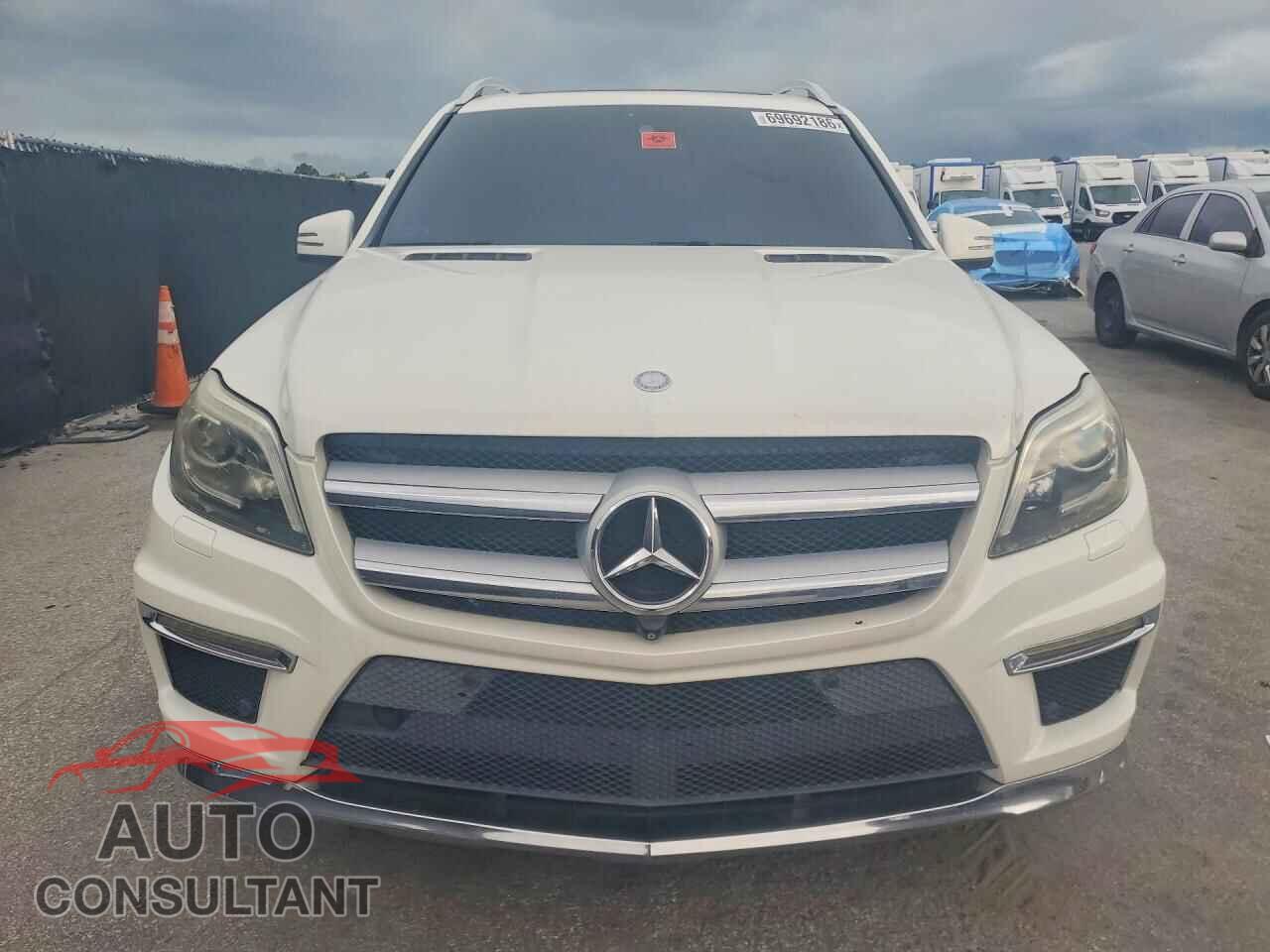 MERCEDES-BENZ GL-CLASS 2014 - 4JGDF7DEXEA318042