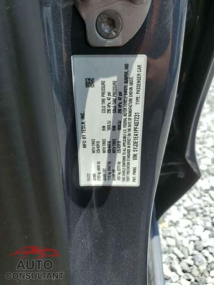 TESLA MODEL 3 2023 - 5YJ3E1EA1PF407231