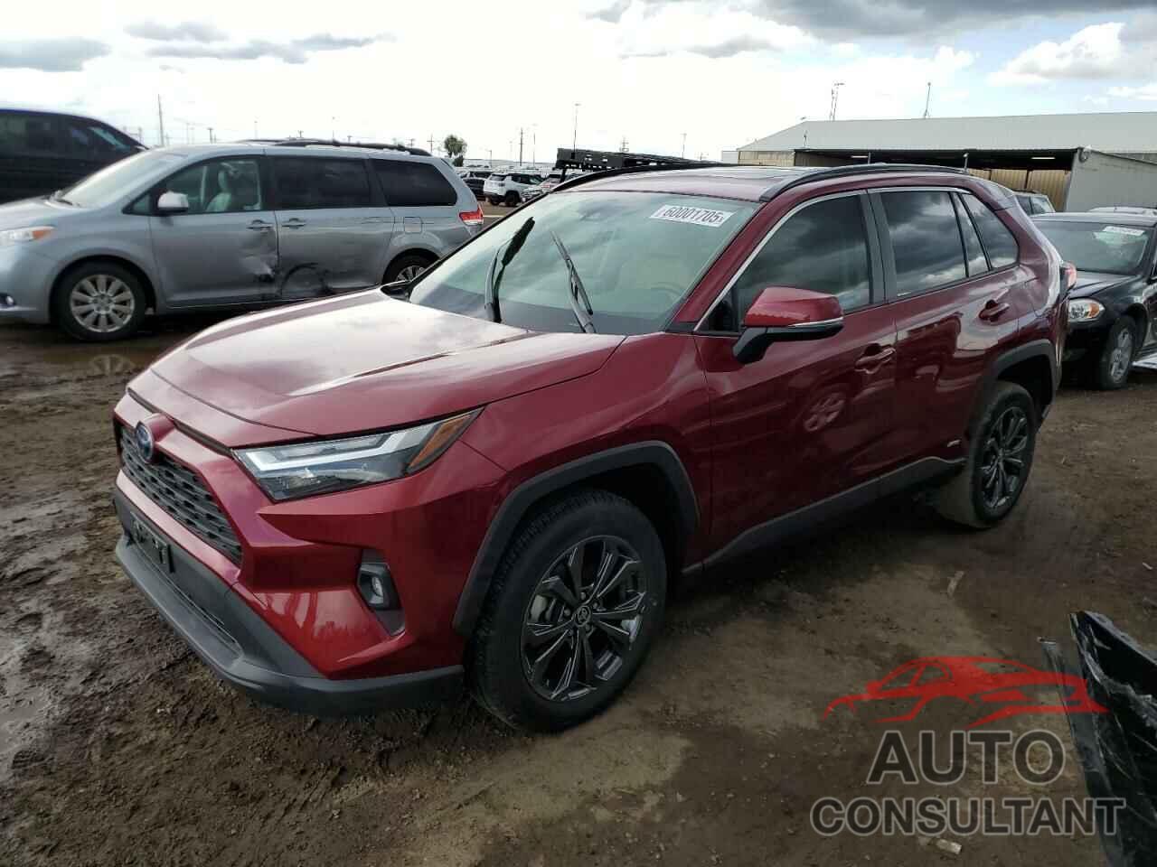TOYOTA RAV4 2024 - JTMB6RFV5RD127315