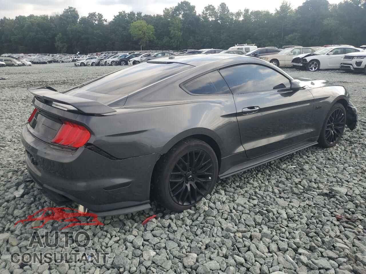 FORD MUSTANG 2019 - 1FA6P8CF2K5116462