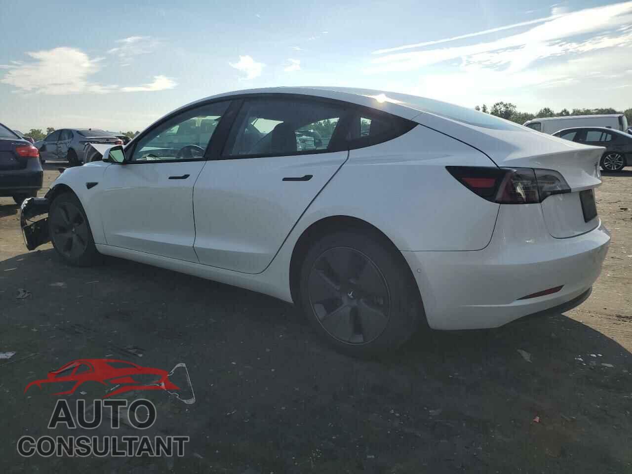 TESLA MODEL 3 2021 - 5YJ3E1EBXMF979399