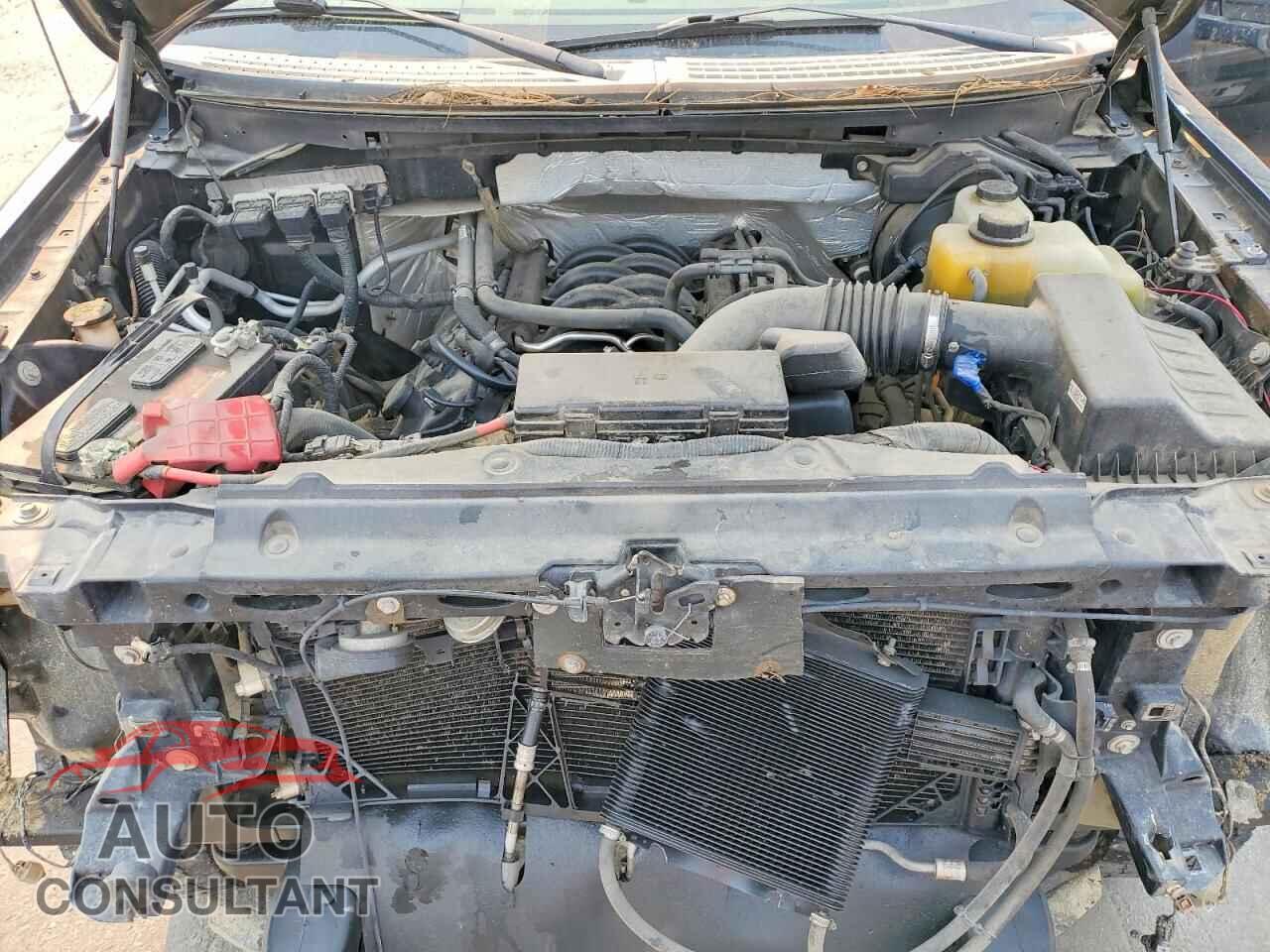 FORD F150 2013 - 1FTFX1EF6DFC88635