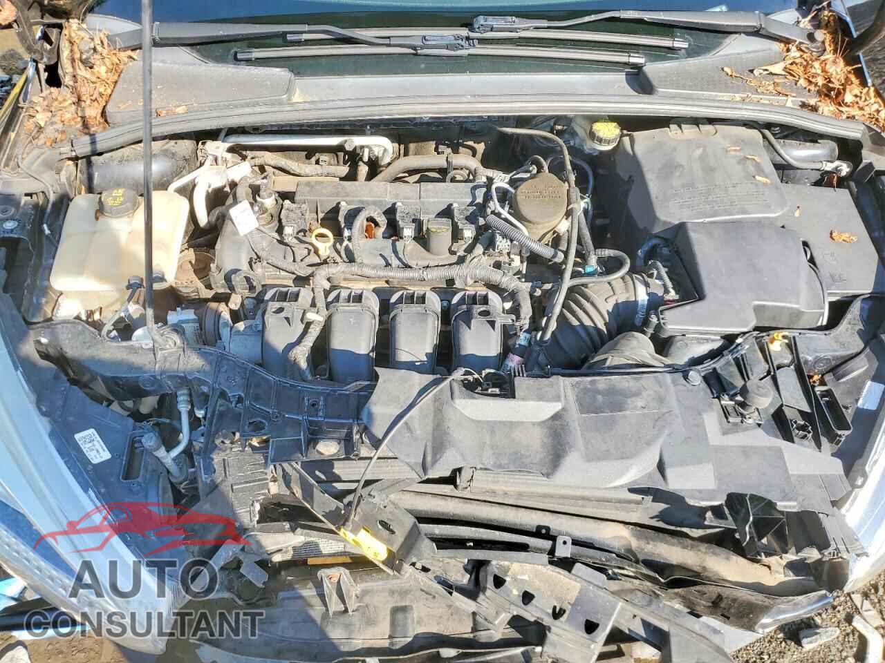 FORD FOCUS 2016 - 1FADP3K24GL242494