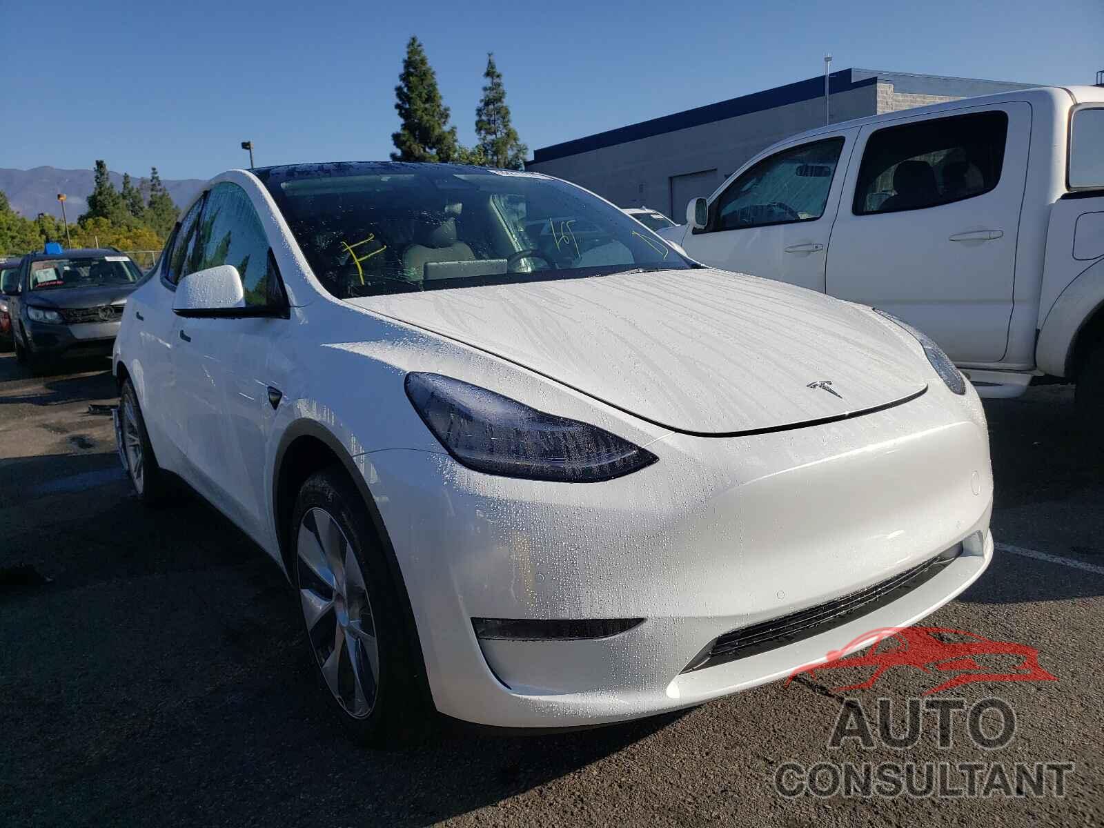 TESLA MODEL Y 2021 - 5YJYGDEEXMF273481