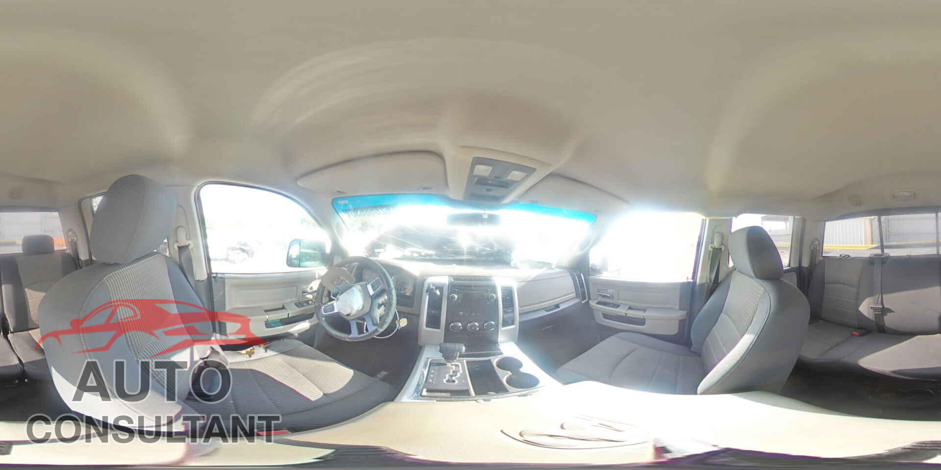 DODGE RAM 1500 2009 - 1D3HB18T39S772406