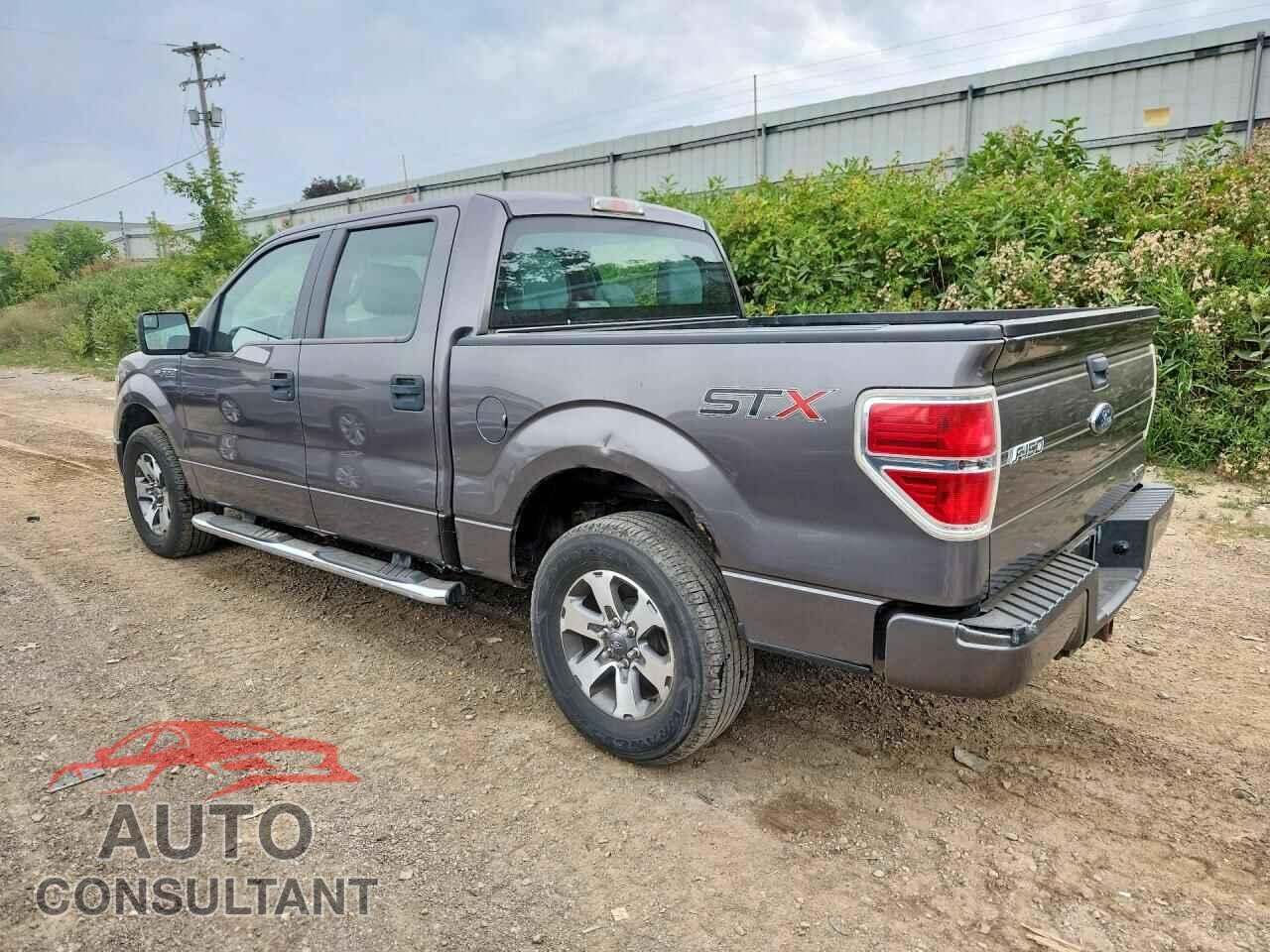 FORD F150 2014 - 1FTFW1CF6EFC30709