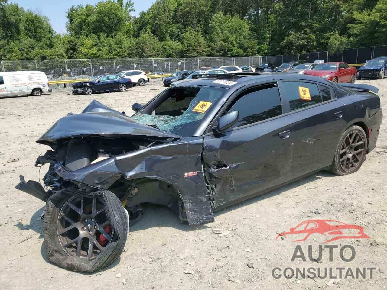 DODGE CHARGER 2017 - 2C3CDXGJ3HH603173