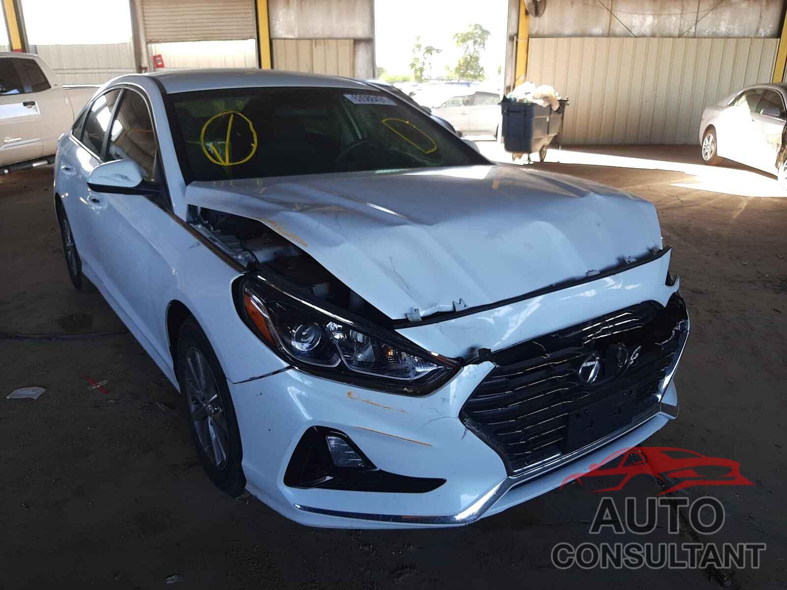 HYUNDAI SONATA 2019 - 5NPE24AF1KH775679
