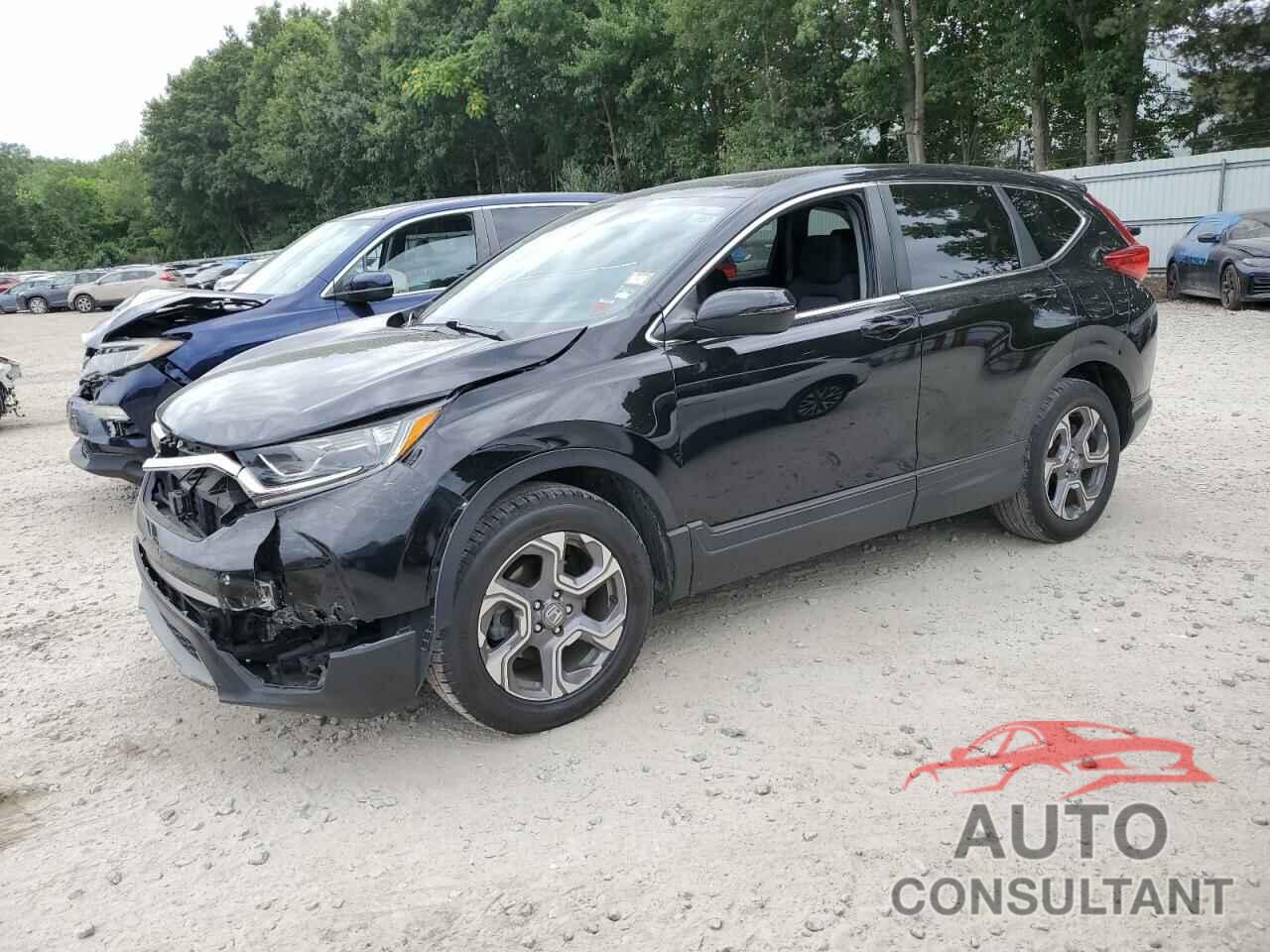 HONDA CRV 2019 - 7FARW2H59KE034660