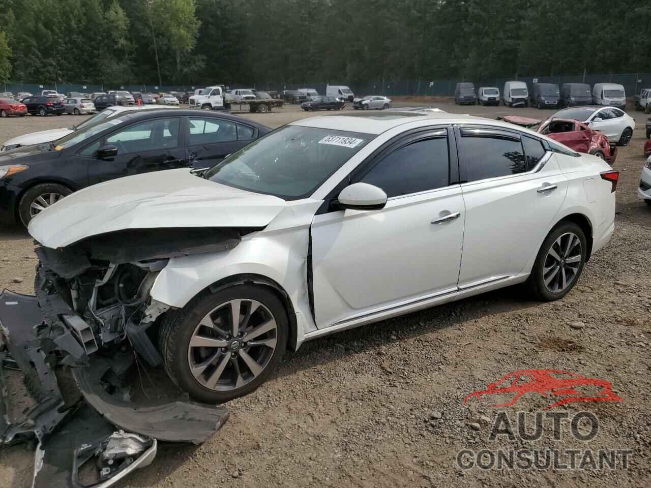 NISSAN ALTIMA 2019 - 1N4BL4DWXKN309511