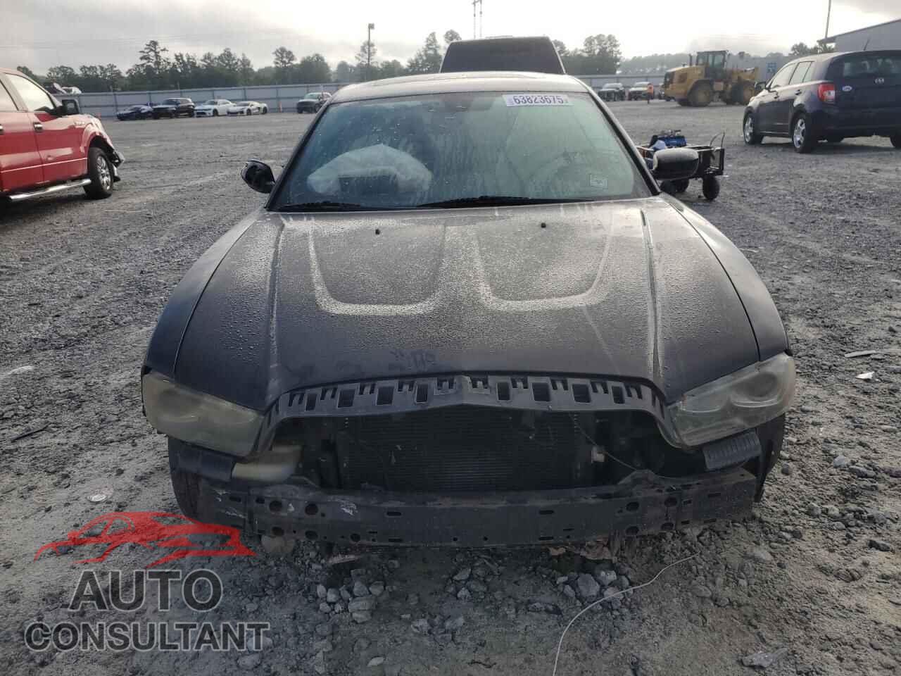 DODGE CHARGER 2014 - 2C3CDXCT7EH117422