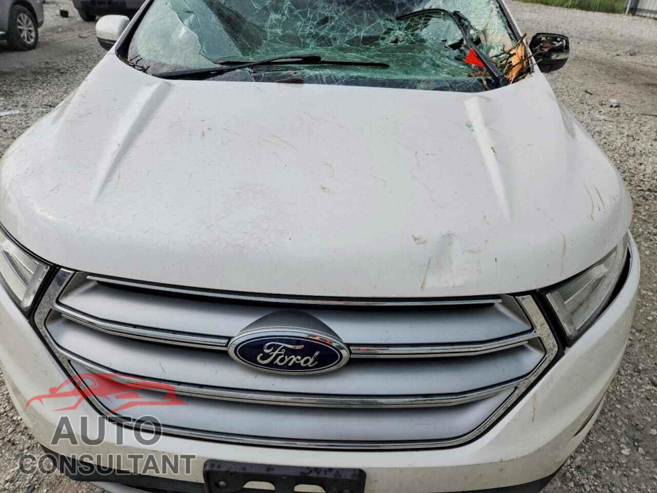 FORD EDGE 2015 - 2FMPK4K81FBB45215