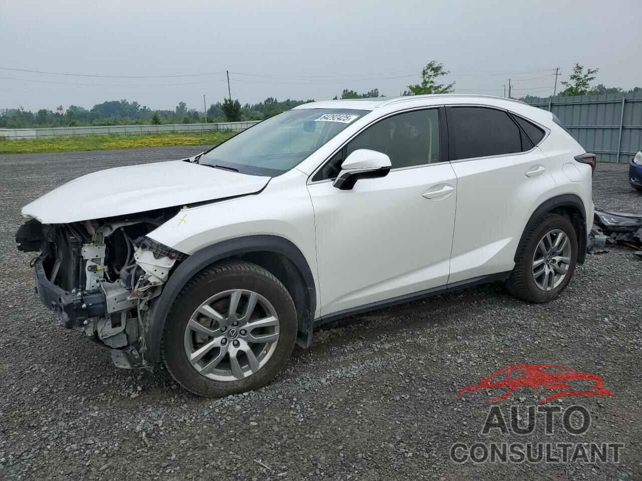 LEXUS NX 2020 - JTJHARDZ4L5015988