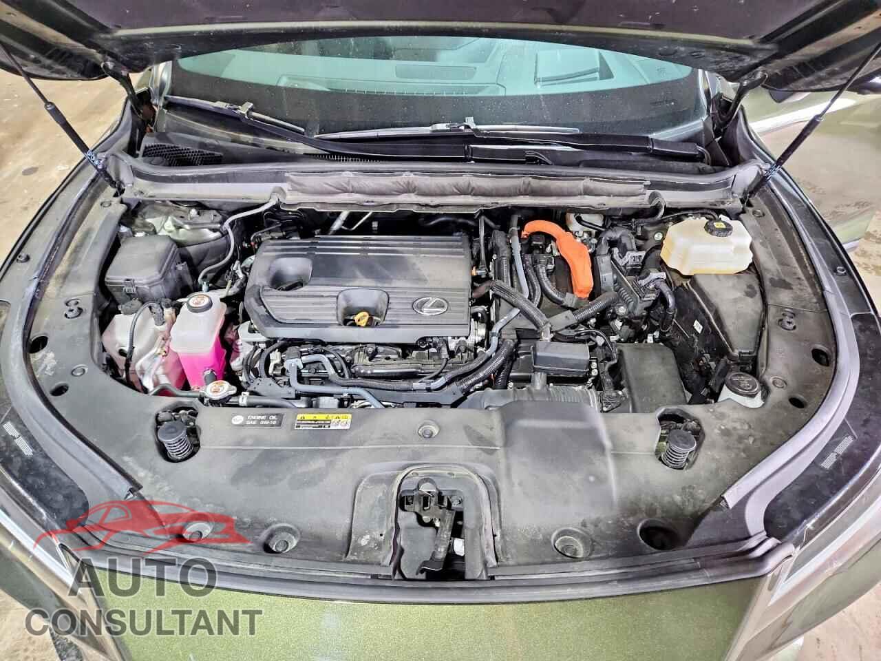 LEXUS UNKNOWN 2024 - 2T2BBMCAXRC038428