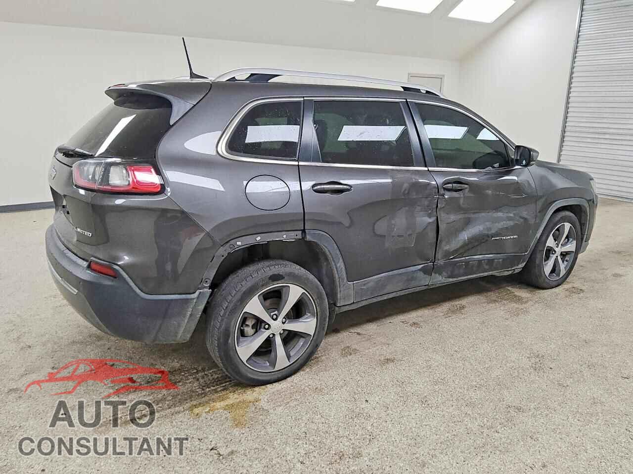 JEEP CHEROKEE 2019 - 1C4PJLDB2KD207865