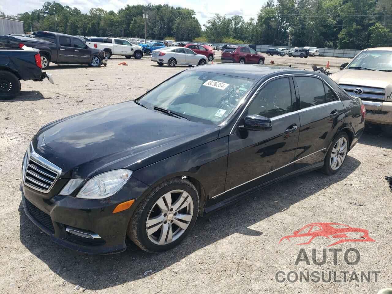 MERCEDES-BENZ E-CLASS 2013 - WDDHF2EB6DA720478