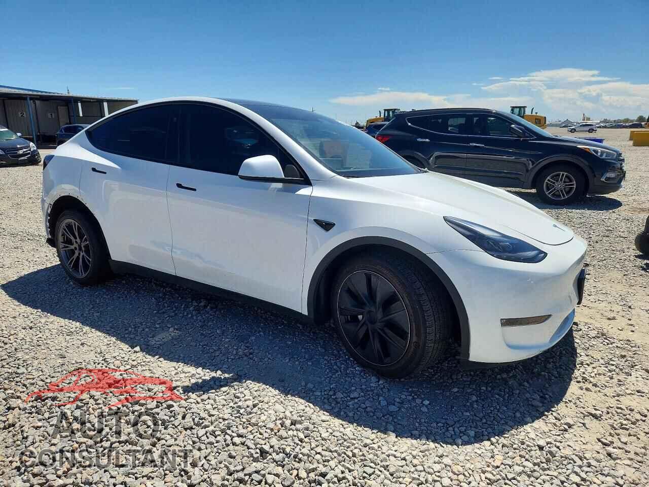 TESLA MODEL Y 2024 - 7SAYGDEE6RF164638