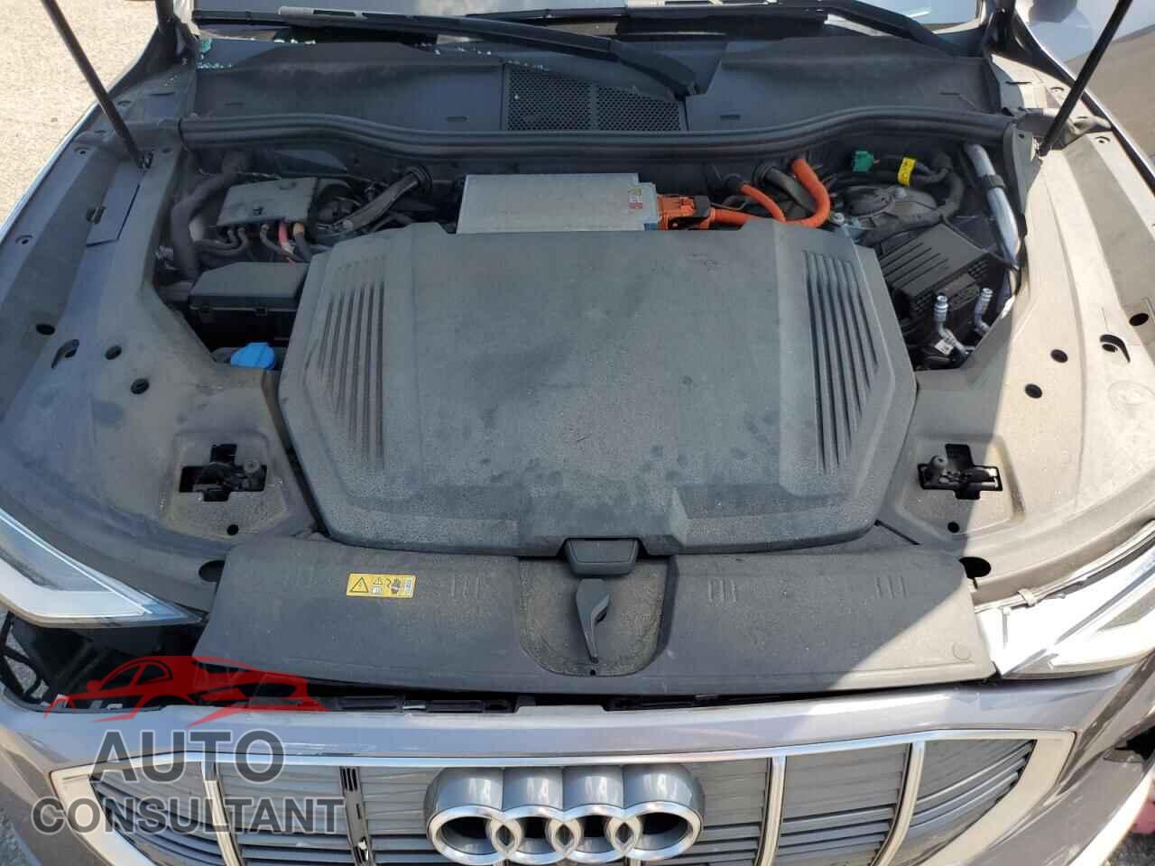 AUDI E-TRON 2019 - WA1LAAGE9KB005541