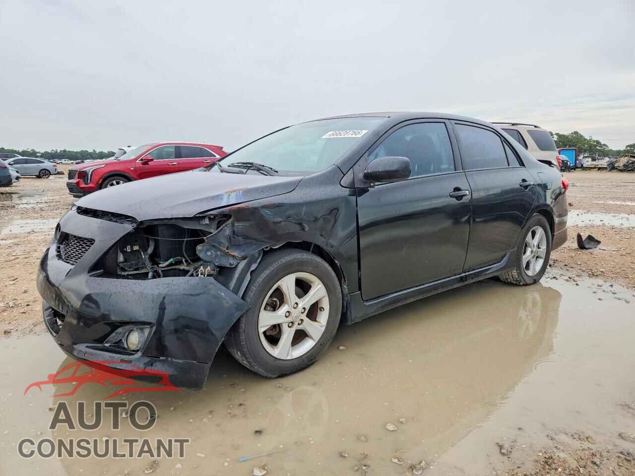 TOYOTA COROLLA 2011 - 2T1BU4EEXBC746909