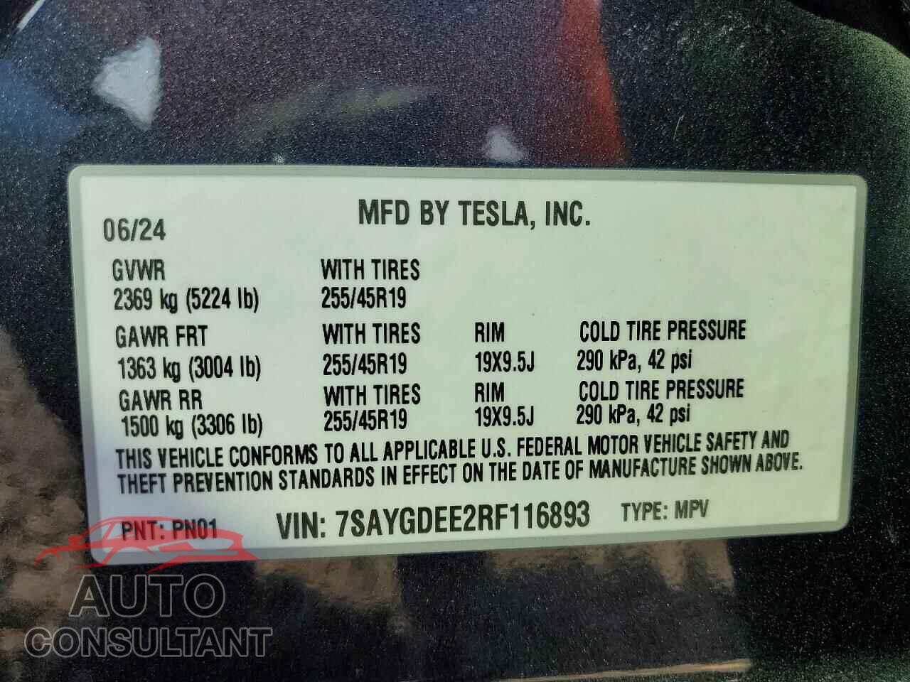 TESLA MODEL Y 2024 - 7SAYGDEE2RF116893