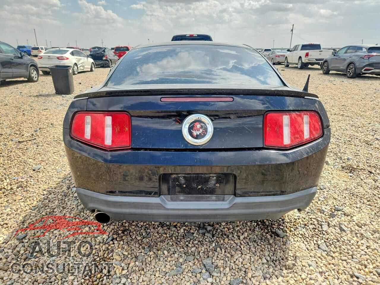 FORD MUSTANG 2010 - 1ZVBP8CH3A5145345