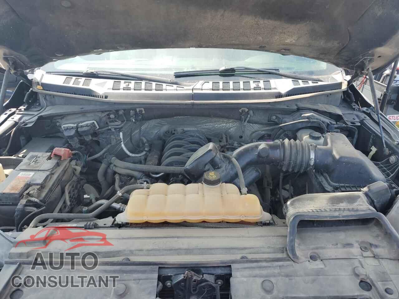 FORD F-150 2017 - 1FTFX1EF2HFA55809