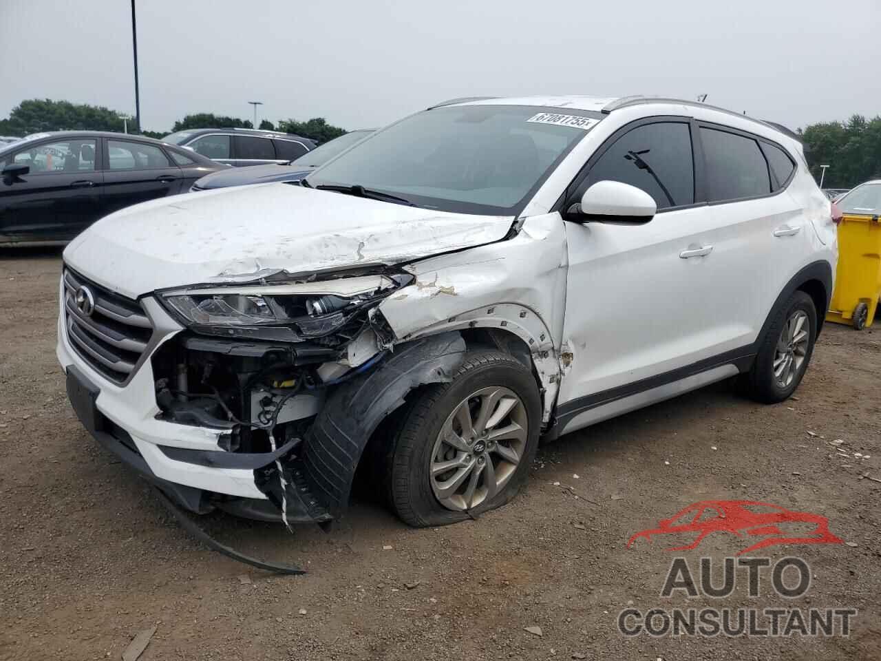HYUNDAI TUCSON 2017 - KM8J3CA41HU553982