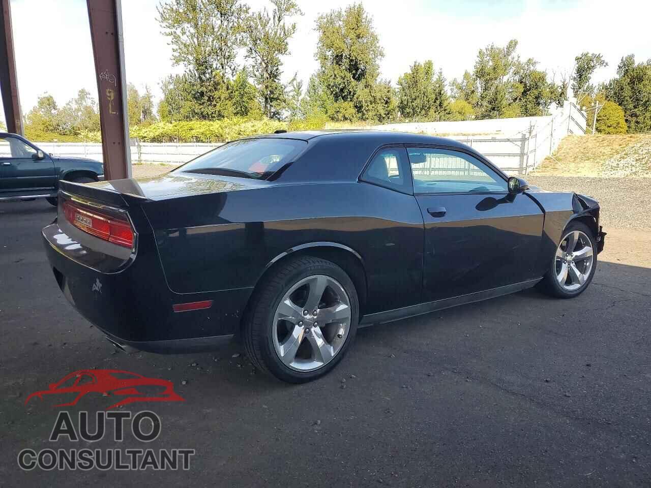 DODGE CHALLENGER 2013 - 2C3CDYAG1DH562684