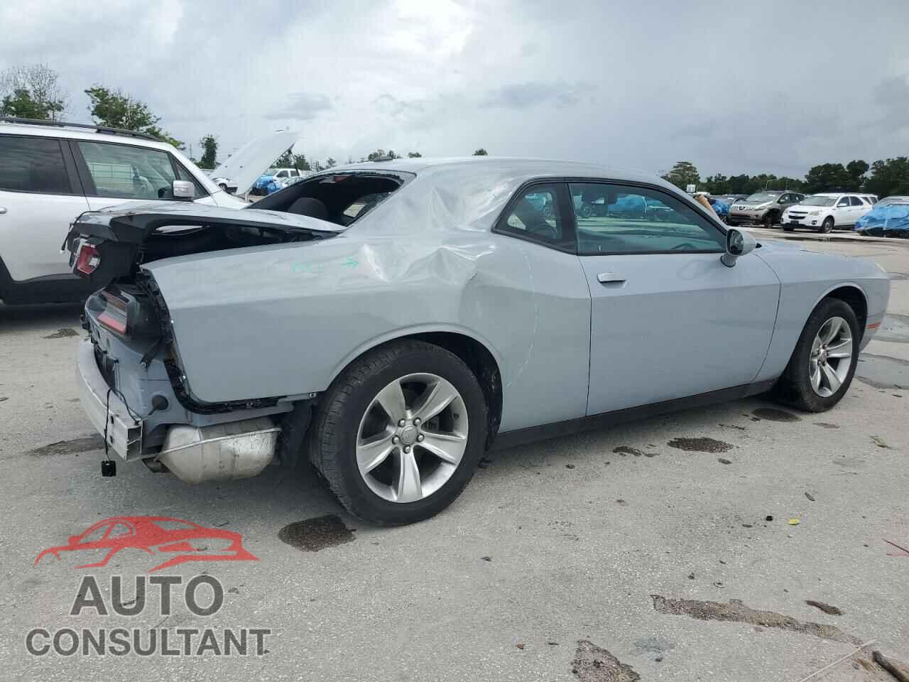 DODGE CHALLENGER 2020 - 2C3CDZAG3LH206693