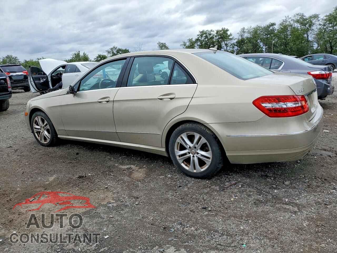 MERCEDES-BENZ E-CLASS 2010 - WDDHF8HBXAA155405